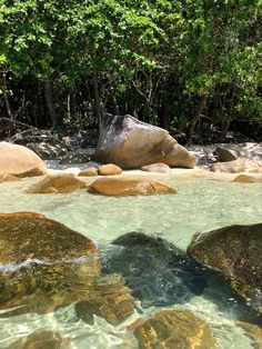 View of shore from water, rock pools and forest. Fitzroy Island, Island Christmas, Mother Gaia, Sea Scapes, Christmas Beach, Australia Vacation, Adventure Backpack, North Queensland, Scenery Nature