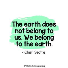 a quote that says the earth does not belong to us we belong to the earth