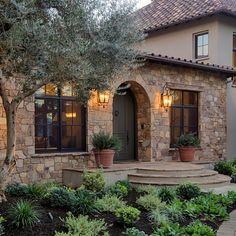 a house that has some plants in front of it and lights on the side of the house