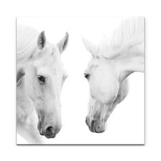 two white horses standing next to each other on a white wall with black and white background