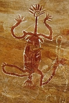 an image of a lizard on a rock