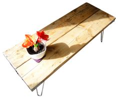 a potted plant sitting on top of a wooden table