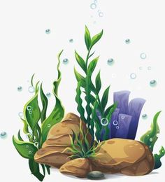 an underwater scene with rocks and plants