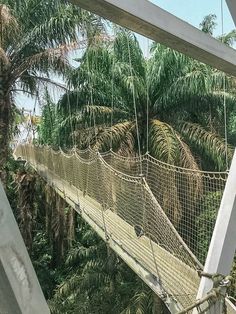 a rope bridge in the middle of some trees