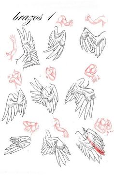 an image of different kinds of birds in the process of being inked on paper