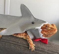 a small lizard is wearing a shark costume