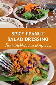 a salad with dressing on it and the words spicy peanut salad dressing