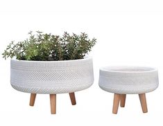 two white planters sitting next to each other on top of small wooden legs with plants in them