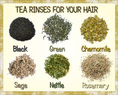 What Are Tea Rinses And How Do They Benefit Your Hair? http://www.blackhairinformation.com/hair-care-2/hair-treatments-and-recipes/tea-rinses-benefit-hair/ Nettle Tea, Hair Growth Secrets, Hair Remedies, Going Natural