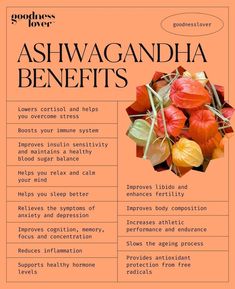 Ashwagandha Plant, Ashwagandha Benefits, Healthy Supplements, Natural Healing Remedies, Herbal Healing, Herbs For Health, Health Knowledge