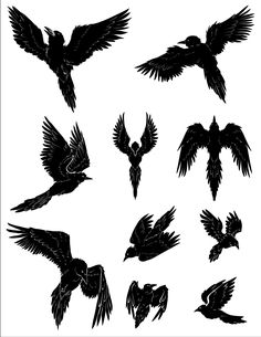 black silhouettes of birds flying in the air