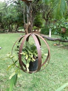 a metal ball hanging from a tree in a yard with a potted plant inside