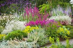 a garden filled with lots of different types of flowers