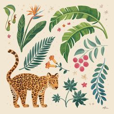 an illustration of a leopard surrounded by tropical leaves and other plants on a white background