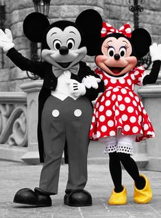 mickey and minnie mouse posing for a photo