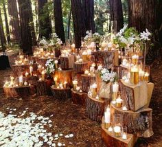 many candles are lit in the woods with white flowers and greenery on each tree stump