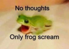 a green frog with it's mouth open and its tongue out saying no thoughts only frog scream