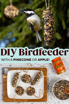 a bird feeder with pinecone or apple hanging from it's side and the words diy birdfeeder above it