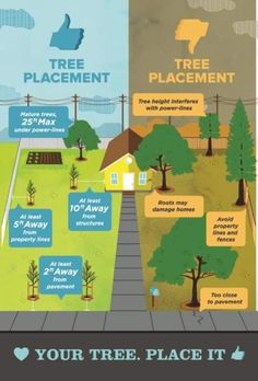 the tree placement process is shown in this graphic