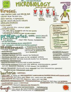 a poster with instructions on how to use microbiotics