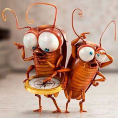 two little bugs are standing next to each other with their eyes wide open and one is holding a compass