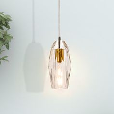 a glass light hanging from the side of a wall next to a potted plant