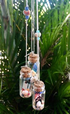 three glass jars filled with sand and shells hanging from a rope in front of plants