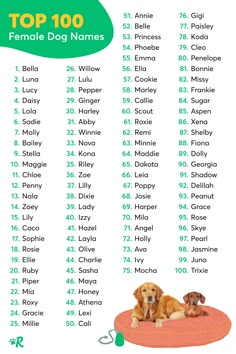 the top 100 female dog names