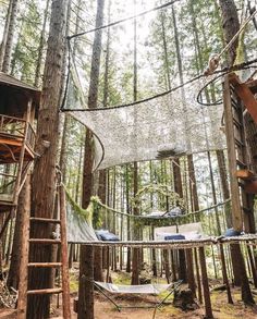 a tree house in the woods with hammocks hanging from it's sides