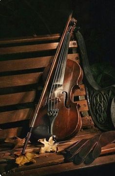 an old violin sitting on top of a wooden bench next to some feathers and leaves