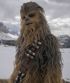 chew - poo character from star wars standing in the snow with mountains in the background