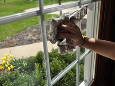 a person is holding something in their hand while looking out the window at grass and flowers