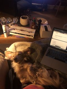 a dog is sleeping on the couch next to a laptop