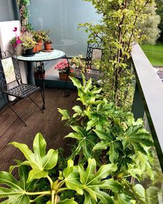 there is a table and chairs on the balcony with potted plants next to it