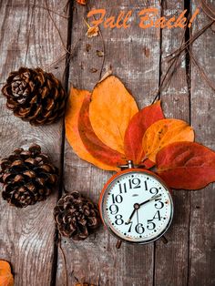 an alarm clock surrounded by autumn leaves and pine cones