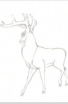 a line drawing of a deer with antlers on it's head and tail