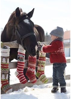 a little boy standing next to a horse in the snow with christmas stockings on it's feet