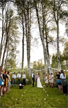 a wedding ceremony in the woods surrounded by birch trees