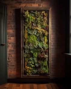 Moss and succulent wall decor, brick wall green plant wall decor, moss frame decor ideas Moss Wall Frame, Moss Frame Art, Succulent Plant Wall, Moss And Succulent Wall, Moss Art Wall, Green Wall Diy, Moss Panels, Framed Moss Wall Art, Live Moss Wall