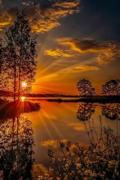 the sun is setting over a lake with some trees in front of it and water