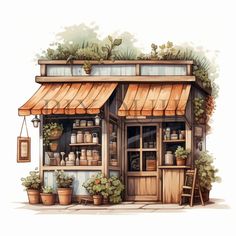 an illustration of a store front with potted plants