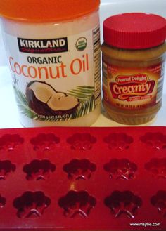 the ingredients to make coconut oil are shown in red trays and an orange plastic container