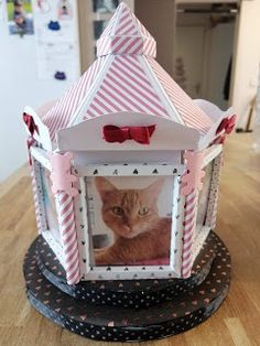 a cat in a box on top of a wooden table with a bow tie around it's neck