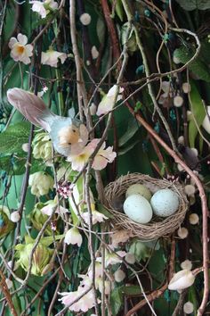 two eggs in a bird's nest surrounded by branches and flowers