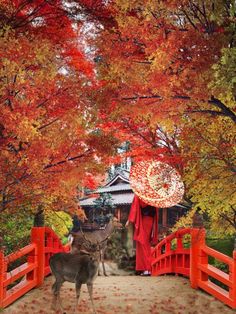 a small animal standing in front of a red fence and trees with leaves on it