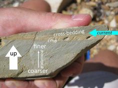 a hand holding a rock with arrows pointing to the cross - bedding and other directions