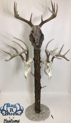 two deer heads are mounted on the back of a wooden pole with antlers attached to it