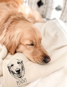 a brown dog sleeping on top of a blanket