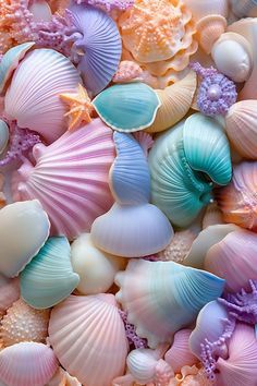 many different colored seashells on display together