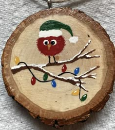 an owl is sitting on a branch with christmas lights